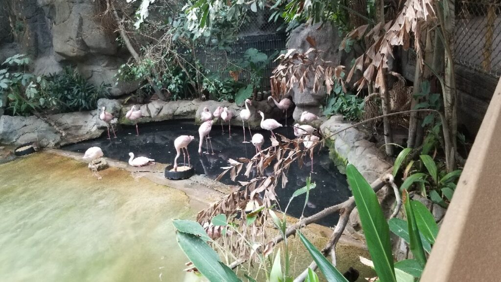 community, homes for sale, mobile, sale, largejpg, manufactured homes