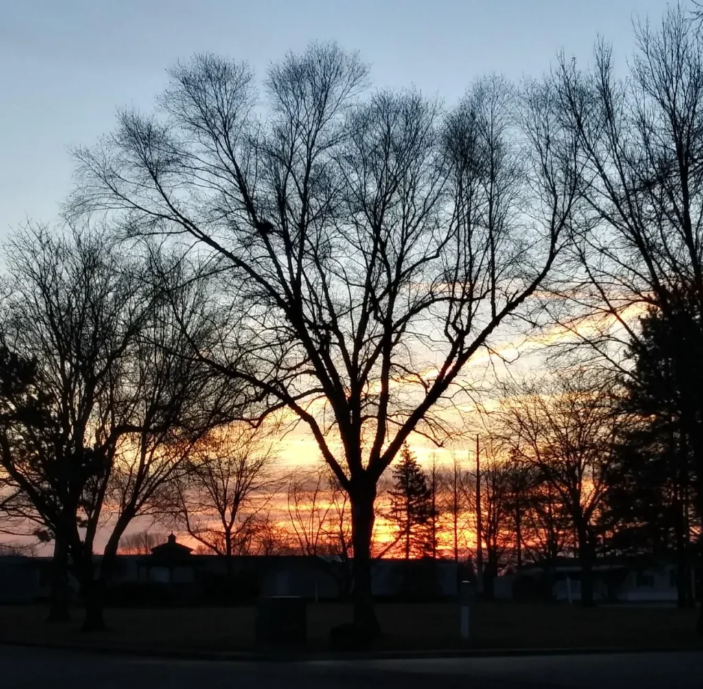 home, homes for rent, OakLawnEstateswebp, sale, Mobile homes, community