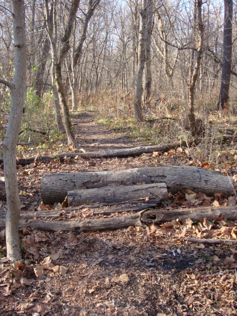 Mobile homes, homes for rent, manufactured, Path, sale, rent