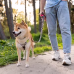 Pets, Mobile homes, manufactured homes, mobile, manufactured, community