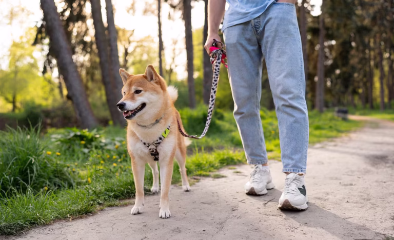 Pets, Mobile homes, manufactured homes, mobile, manufactured, community