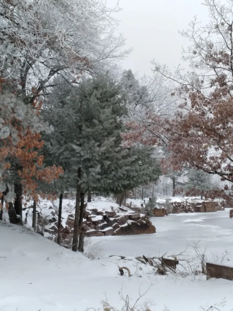 manufactured homes, Mobile homes, home, rent, RedgraniteMobileHomeParkscaledwebp, manufactured