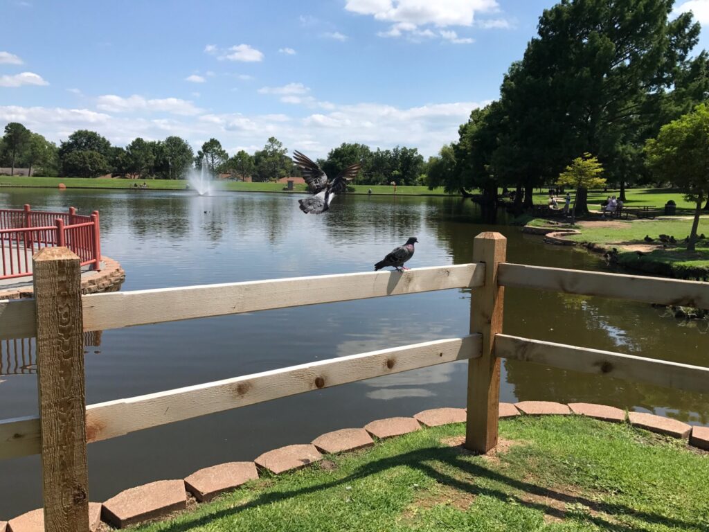 manufactured, sale, Mobile homes, mobile, Endeavor Communities, enjoythemoment